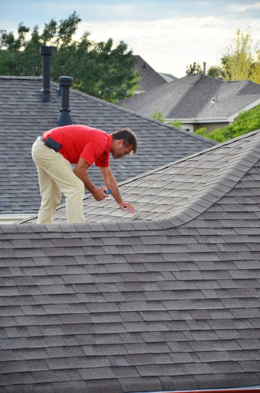 Roofing Inspection in Spring
